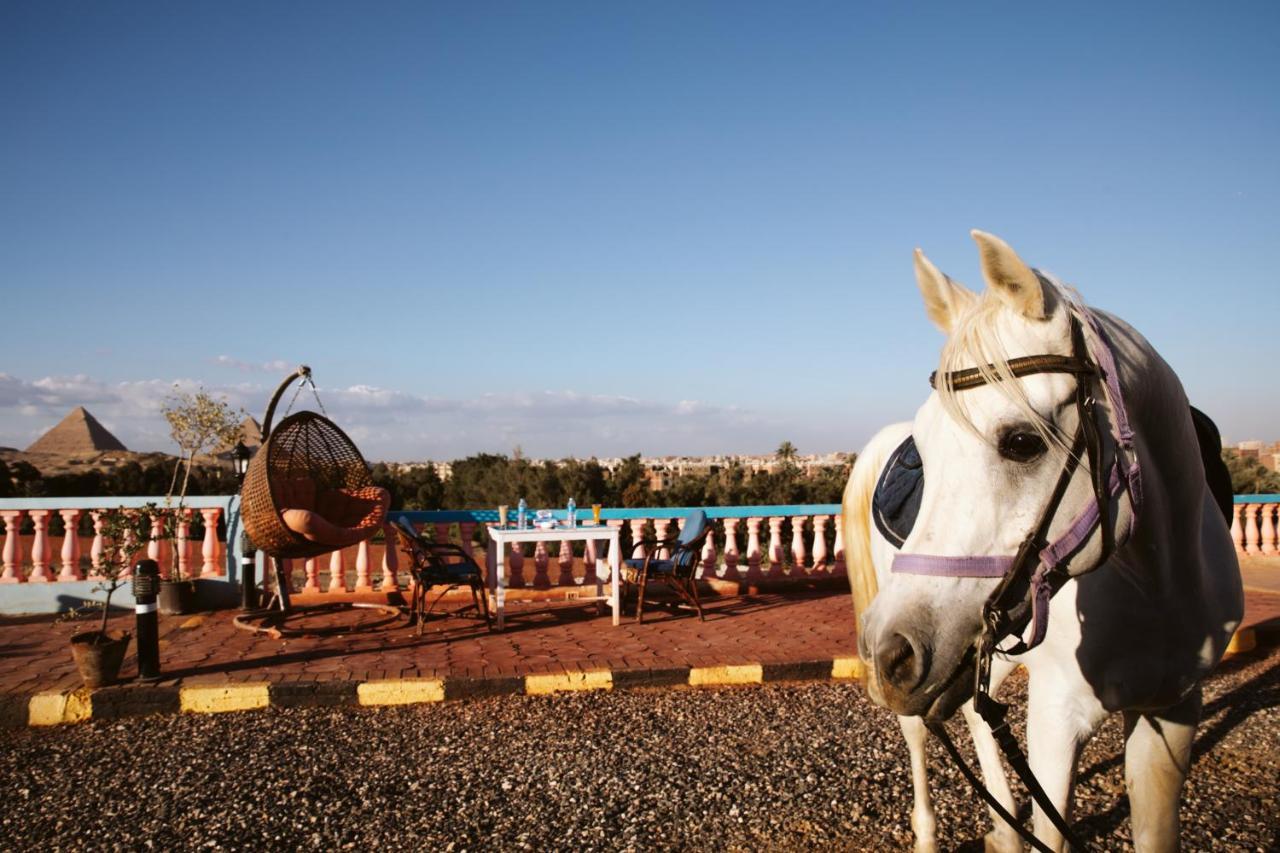 Heru Pyramids View Hotel ไคโร ภายนอก รูปภาพ